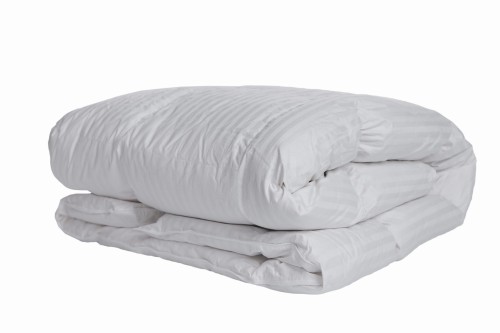 Skrzypczyk Studio 13.jpg