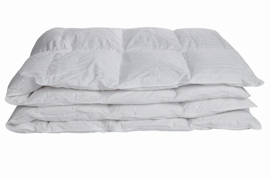 Skrzypczyk Studio 10.jpg