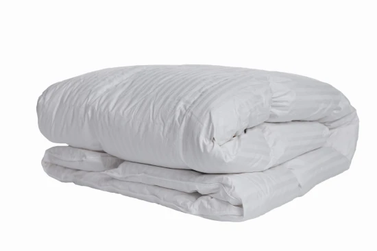 Skrzypczyk Studio 13.jpg