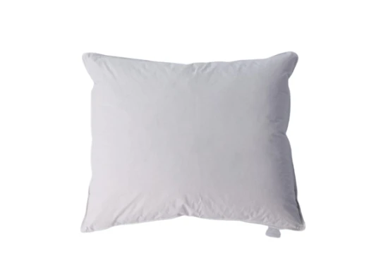 antyal (2).png