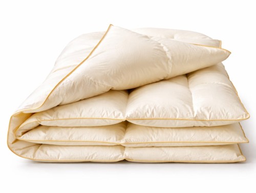 2026-03-18 124919.jpg