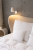 11498b8a-2368-424e-add7-a0c007d588bd.png