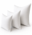 955ef186-7005-40bb-8a89-410f21ff0fb0.png